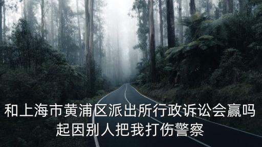 上海市黃浦區(qū)打架，上海酒吧打架事件各位怎么看