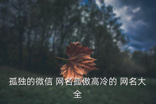 心灰意冷的網(wǎng)名,夜-迷離尋找另一種生活方式