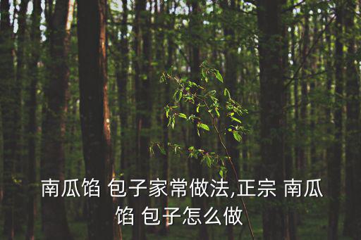  南瓜餡 包子家常做法,正宗 南瓜餡 包子怎么做