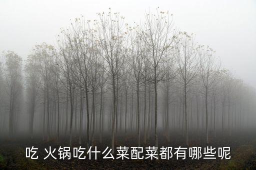 吃火鍋都吃什么菜,火鍋菜單（一）