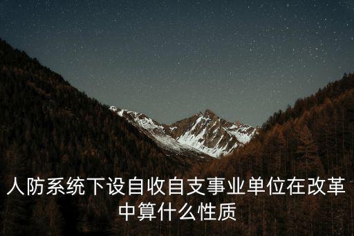 人防系統下設自收自支事業單位在改革中算什么性質