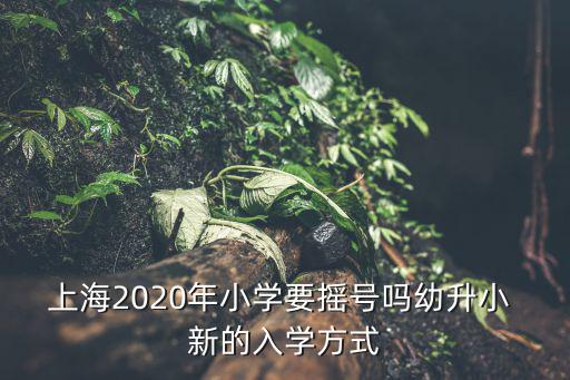 上海市民辦幼升小，2o16上海閔行民辦幼升小需要哪些條件要幼兒的居住證嗎還有父母一