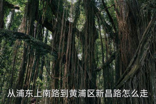 從浦東上南路到黃浦區新昌路怎么走