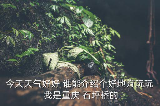 重慶市九龍坡區(qū)石坪橋天氣，重慶最近幾天天氣