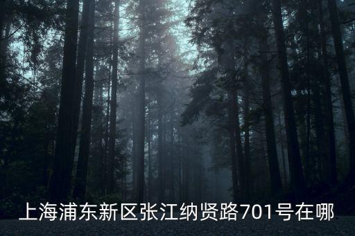 上海浦東新區(qū)張江納賢路701號在哪