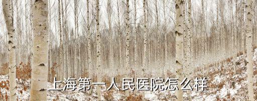 上海第一人民醫院怎么樣