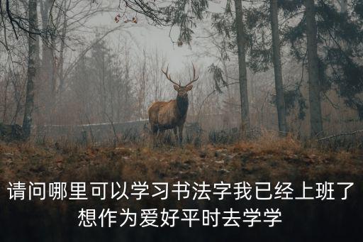 重慶市小學生書法，重慶渝中區哪里有書法培訓的喲