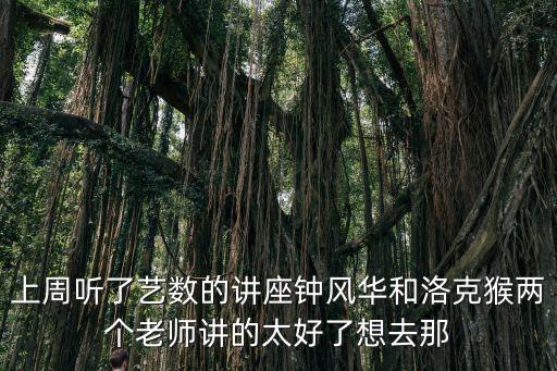 上周聽了藝數(shù)的講座鐘風(fēng)華和洛克猴兩個老師講的太好了想去那