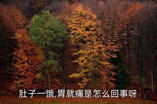 肚子一餓,胃就痛是怎么回事呀