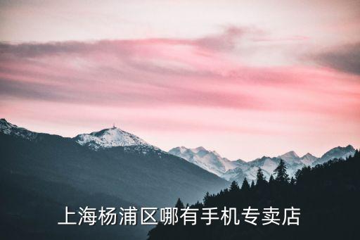 上海楊浦區哪有手機專賣店