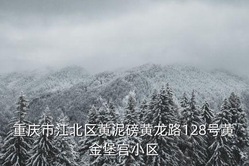 重慶市江北區(qū)黃泥磅黃龍路128號黃金堡宮小區(qū)