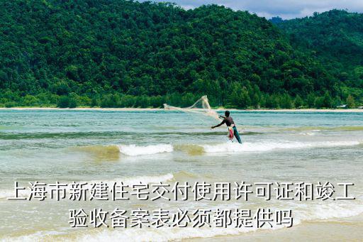 上海市新建住宅交付使用許可證和竣工驗(yàn)收備案表必須都提供嗎