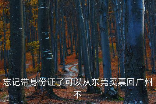 忘記帶身份證了可以從東莞買票回廣州不