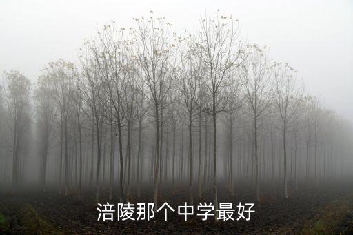 重慶市涪陵中學 黔江中學哪個好，涪陵的初中哪個學校最好