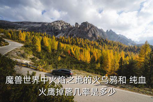 魔獸世界中火焰之地的火烏鴉和 純血 火鷹掉落幾率是多少
