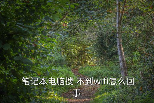 筆記本電腦搜 不到wifi怎么回事