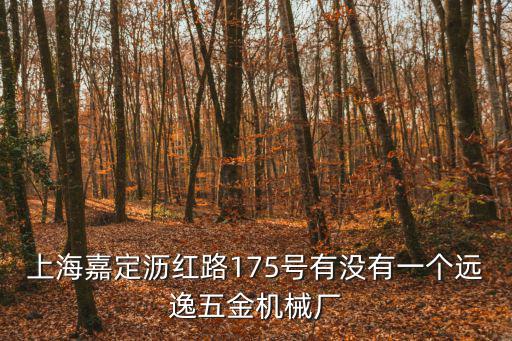 上海嘉定瀝紅路175號有沒有一個遠逸五金機械廠