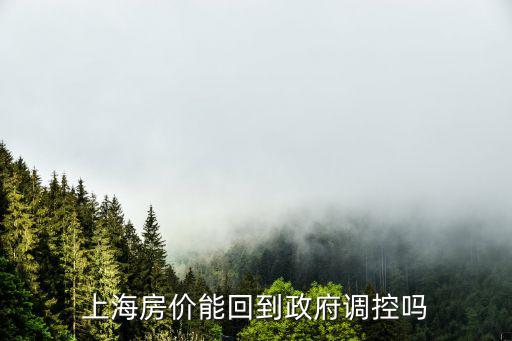上海房價能回到政府調(diào)控嗎