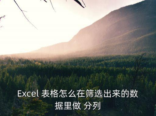 Excel 表格怎么在篩選出來的數據里做 分列