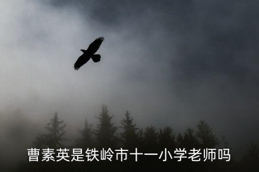 上海市僑光中學(xué)張亞芳校長，季延中學(xué)校長曾清泉是哪里人
