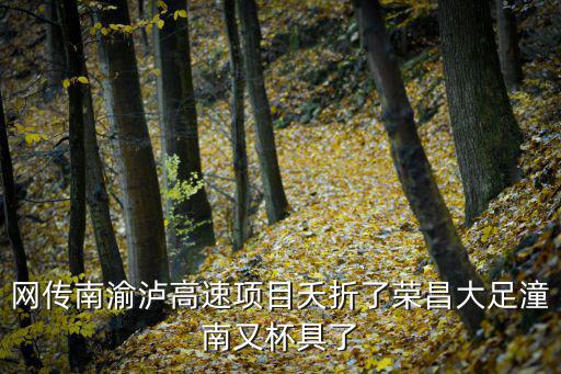網(wǎng)傳南渝瀘高速項目夭折了榮昌大足潼南又杯具了