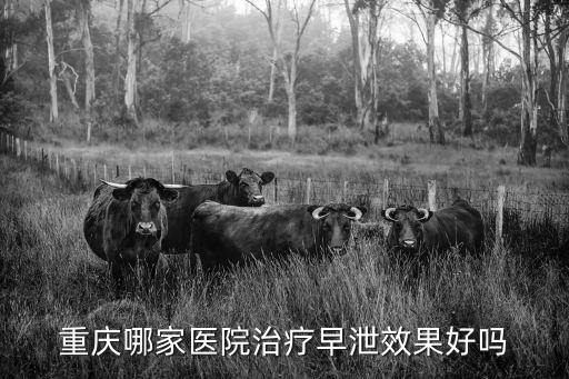 重慶哪家醫院治療早泄效果好嗎