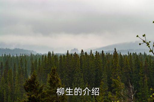  柳生的介紹