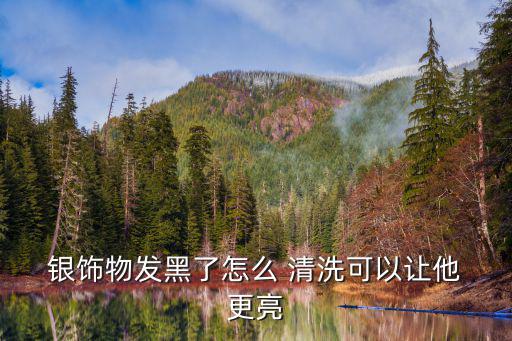  銀飾物發黑了怎么 清洗可以讓他 更亮