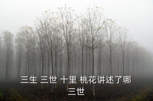  三生 三世 十里 桃花講述了哪 三世
