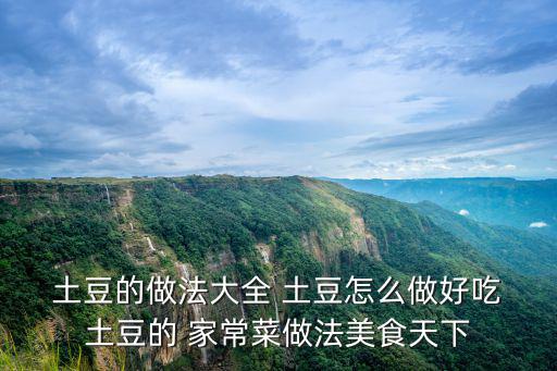  土豆的做法大全 土豆怎么做好吃 土豆的 家常菜做法美食天下
