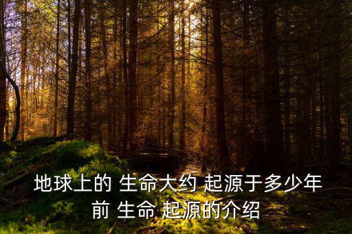  地球上的 生命大約 起源于多少年前 生命 起源的介紹