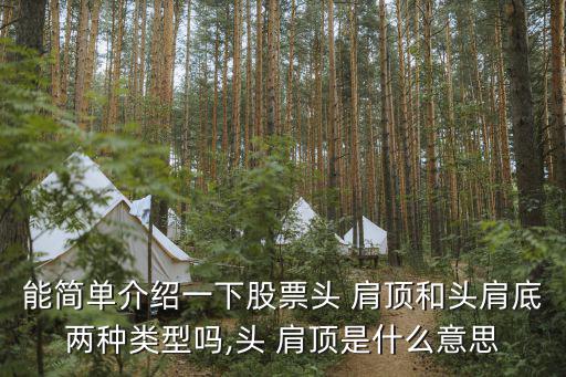 能簡(jiǎn)單介紹一下股票頭 肩頂和頭肩底兩種類型嗎,頭 肩頂是什么意思