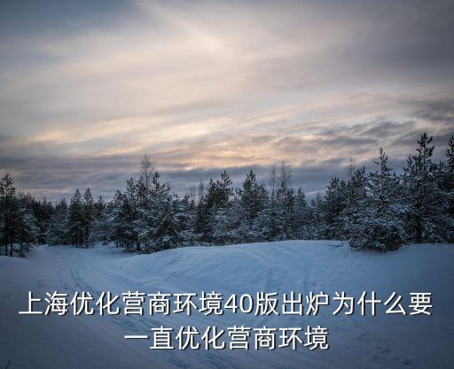 上海優化營商環境40版出爐為什么要一直優化營商環境