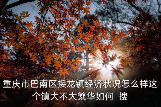重慶市巴南區接龍鎮經濟狀況怎么樣這個鎮大不大繁華如何  搜