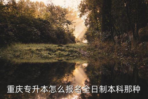 重慶專(zhuān)升本怎么報(bào)名全日制本科那種