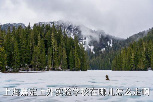 上海嘉定上外實(shí)驗(yàn)學(xué)校在哪兒怎么走啊