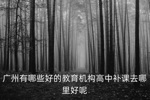廣州六中附近教育機(jī)構(gòu)，廣州什么教育機(jī)構(gòu)最好