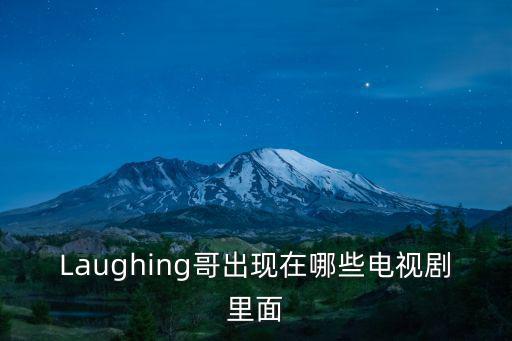 Laughing哥出現(xiàn)在哪些電視劇里面