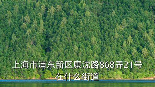 上海市沈西村屬于哪個鎮，上海市浦東新區塘下公路808號是那個鎮 郵政編碼是多少