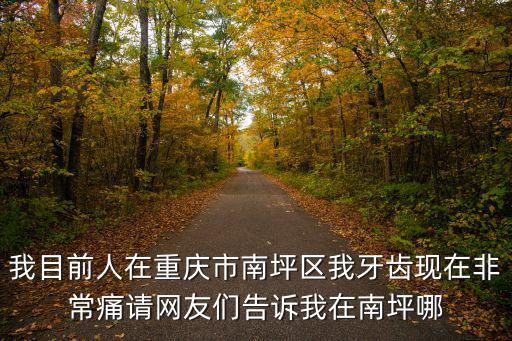 我目前人在重慶市南坪區我牙齒現在非常痛請網友們告訴我在南坪哪