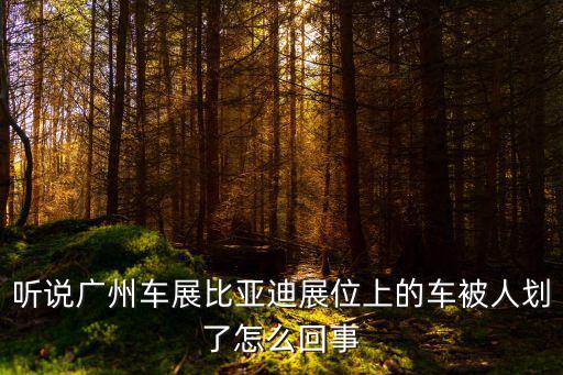 聽說廣州車展比亞迪展位上的車被人劃了怎么回事