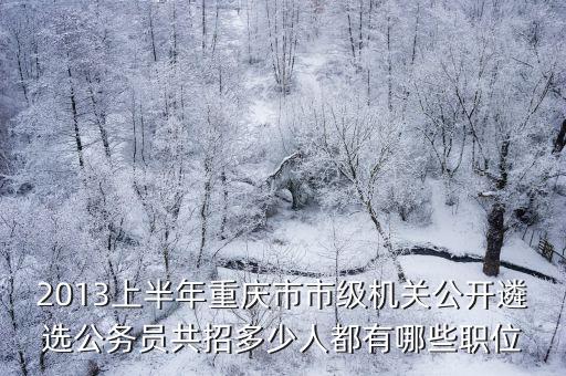 2013上半年重慶市市級(jí)機(jī)關(guān)公開遴選公務(wù)員共招多少人都有哪些職位