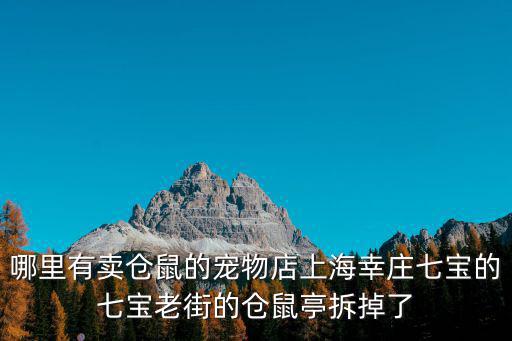 哪里有賣倉鼠的寵物店上海幸莊七寶的七寶老街的倉鼠亭拆掉了