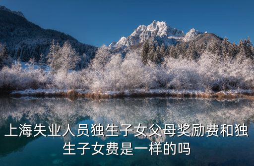 失去獨生女上海市有什么政策，上海地區夫妻雙方都是居民戶口男方非獨生子女女方獨生子
