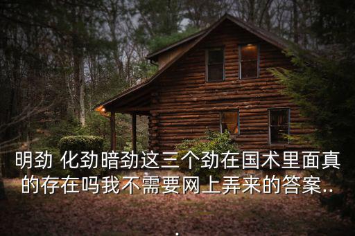 明勁 化勁暗勁這三個勁在國術(shù)里面真的存在嗎我不需要網(wǎng)上弄來的答案...