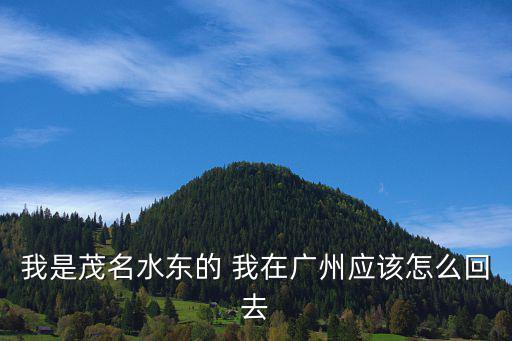 我是茂名水東的 我在廣州應(yīng)該怎么回去