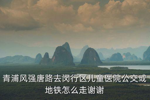 青浦風強唐路去閔行區(qū)兒童醫(yī)院公交或地鐵怎么走謝謝