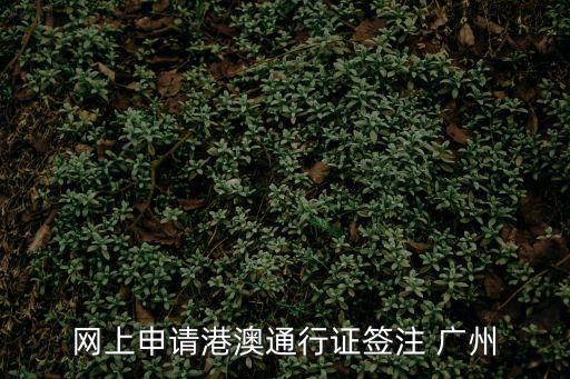 網(wǎng)上申請(qǐng)港澳通行證簽注 廣州