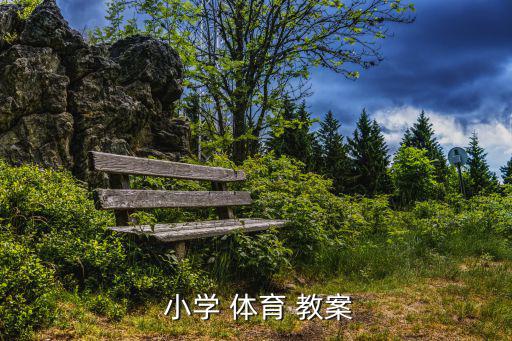  小學 體育 教案