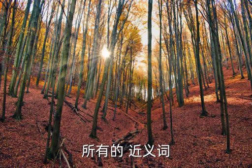所有的 近義詞